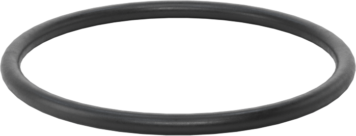 Ultra Kimyasal Dayanıklı Dupont Kalrez 4079 O-Ring, 3/32 Kesirli Genişlik, Dash No. 131