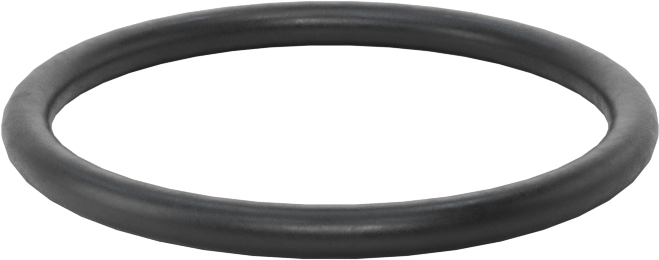 Ultra Kimyasal Dayanıklı Dupont Kalrez 4079 O-Ring, 3/32 Kesirli Genişlik, Dash No. 123