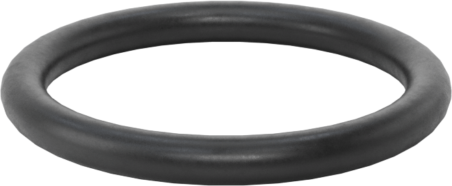 Ultra Kimyasal Dayanıklı Dupont Kalrez 4079 O-Ring, 1/8 Kesirli Genişlik, Dash No. 216