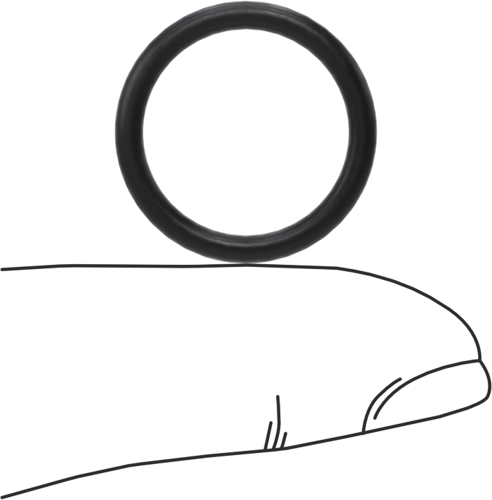 Ultra Kimyasal Dayanıklı Dupont Kalrez 4079 O-Ring, Düz Dişli Bağlantılı Boru Bağlantı Elemanları için, Dash 908
