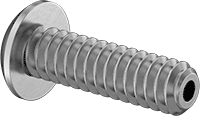 95861A113