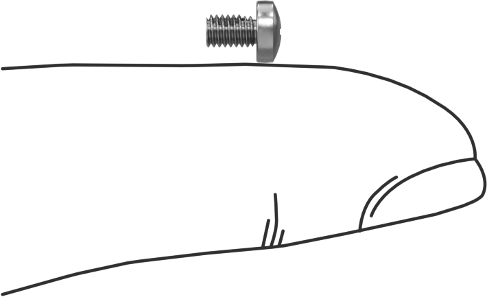 Diş Kilitli Silindir Başlı Phillips Vidaları, M2,5 x 0,45 mm Diş, 4 mm Uzunluk