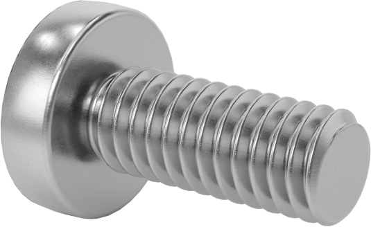 Diş Kilitli Silindir Başlı Phillips Vidaları, M2,5 x 0,45 mm Diş, 6 mm Uzunluk