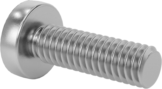 Diş Kilitli Silindir Başlı Phillips Vidaları, M2,5 x 0,45 mm Diş, 8 mm Uzunluk