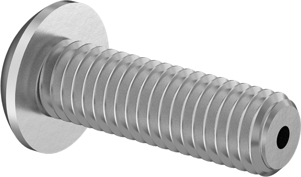 Havalandırmalı Düğme Başlı Vidalar, M5 x 0,80 mm Diş, 16 mm Uzunluk