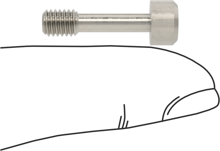 Soket Başlı Sabit Panel Vidası, 10-32 Diş Boyutu, 3/4" Uzunluk