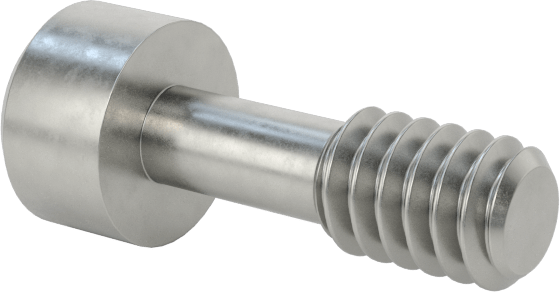 Soket Başlı Sabit Panel Vidası, 2-56 Diş Boyutu, 1/4" Uzunluk