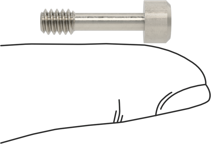 Soket Başlı Sabit Panel Vidası, 10-24 Diş Boyutu, 3/4" Uzunluk