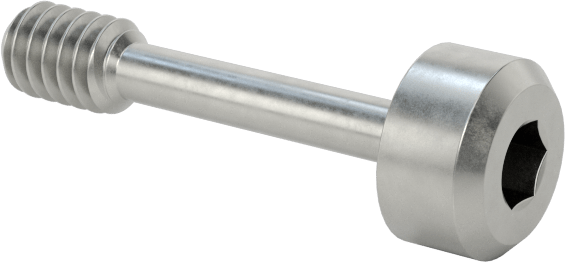 Soket Başlı Sabit Panel Vidası, M2 x 0,4 mm Diş, 10 mm Uzunluk