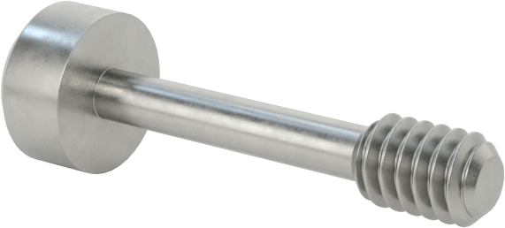 Soket Başlı Sabit Panel Vidası, M2 x 0,4 mm Diş, 10 mm Uzunluk