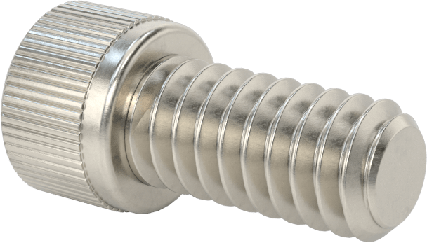 Süper Korozyona Dayanıklı 316 Paslanmaz Çelik Soket Başlı Vidalar, Diş Kilitleme, 1/4"-20 Diş Boyutu, 1/2" Uzunluk