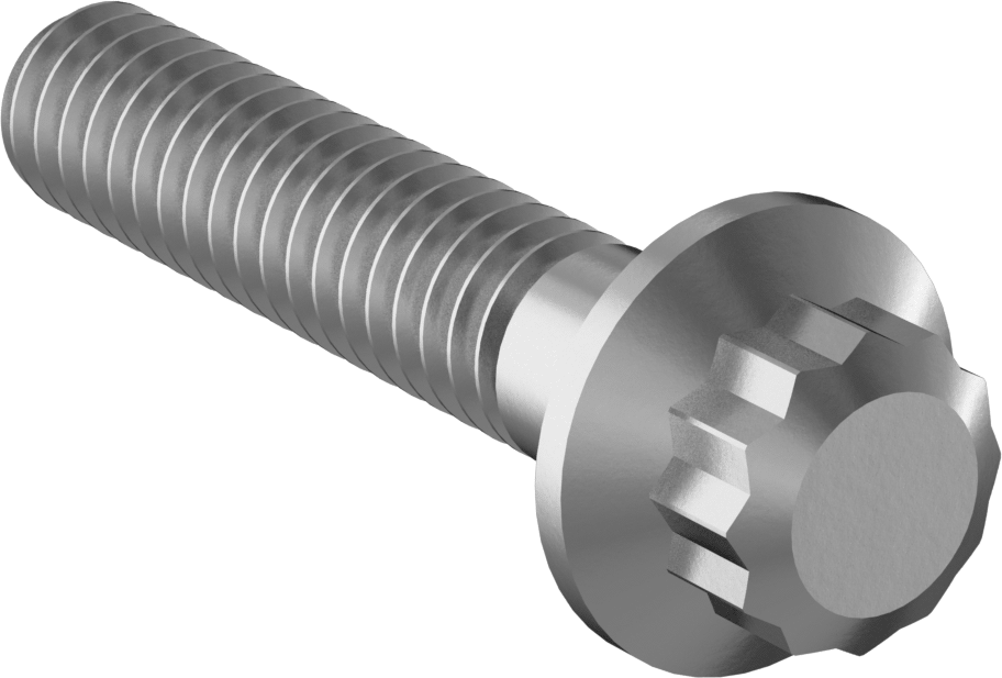 Paslanmaz Çelik 12 Uçlu Vida, 1/4"-20 Diş Boyutu, 1-1/4" Uzunluk