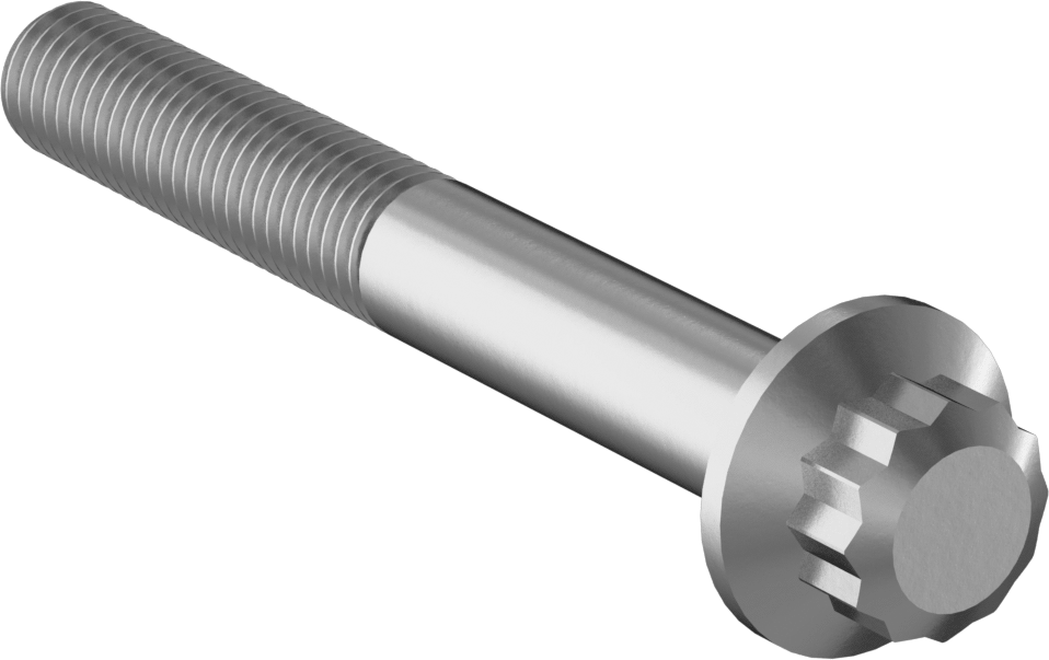 Paslanmaz Çelik 12 Uçlu Vida, 1/4"-28 Diş Boyutu, 2" Uzunluk