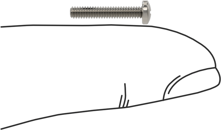 Diş Kilitli Silindir Başlı Phillips Vidaları, 2-56 Diş Boyutu, 1/2" Uzunluk