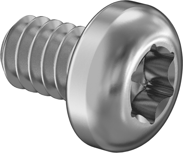 Paslanmaz Çelik Silindir Başlı Torx Vidaları, 2-56 Diş, 1/8" Uzunluk
