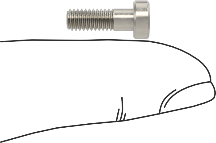 18-8 Paslanmaz Çelik Düşük Profilli Soket Başlı Vida, Pilot Girintili Altıgen, M4 x 0,7 mm Diş, 12 mm Uzunluk