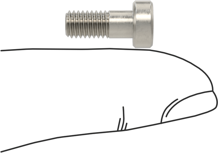 18-8 Paslanmaz Çelik Düşük Profilli Soket Başlı Vida, Pilot Girintili Altıgen, M5 x 0,8 mm Diş, 12 mm Uzunluk