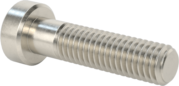 18-8 Paslanmaz Çelik Düşük Profilli Soket Başlı Vida, Pilot Girintili Altıgen, M5 x 0,8 mm Diş, 20 mm Uzunluk