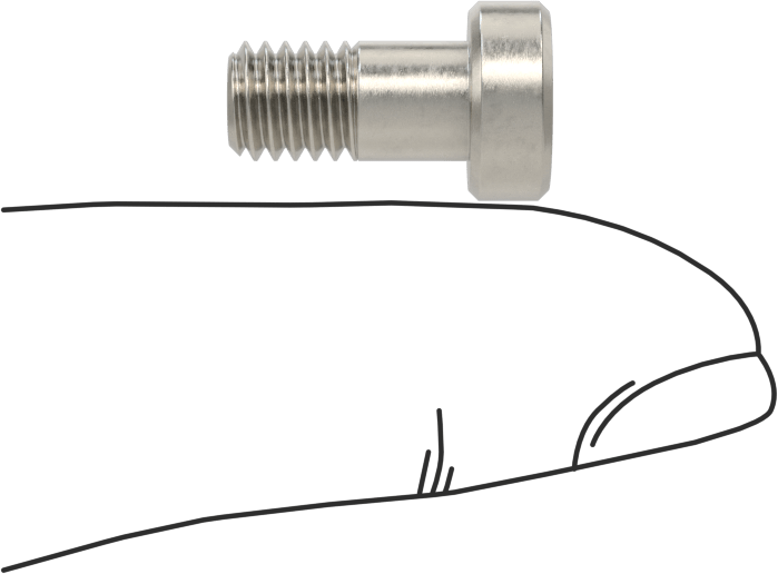 18-8 Paslanmaz Çelik Düşük Profilli Soket Başlı Vida, Pilot Girintili Altıgen, M6 x 1 mm Diş, 12 mm Uzunluk