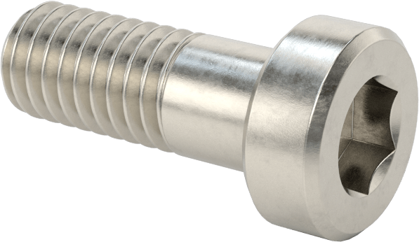 18-8 Paslanmaz Çelik Düşük Profilli Soket Başlı Vida, Pilot Girintili Altıgen, M6 x 1 mm Diş, 16 mm Uzunluk