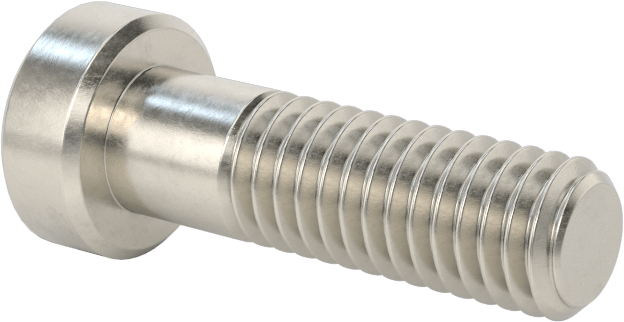 18-8 Paslanmaz Çelik Düşük Profilli Soket Başlı Vida, Pilot Girintili Altıgen, M6 x 1 mm Diş, 20 mm Uzunluk