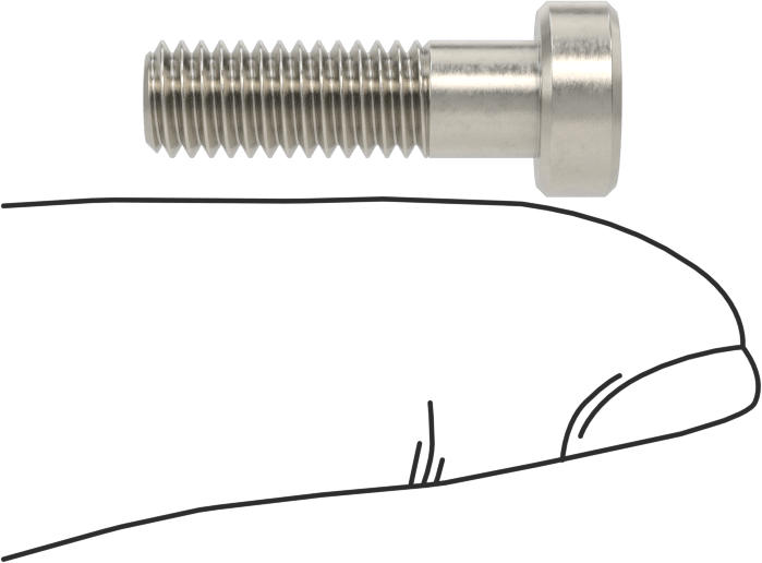 18-8 Paslanmaz Çelik Düşük Profilli Soket Başlı Vida, Pilot Girintili Altıgen, M6 x 1 mm Diş, 20 mm Uzunluk