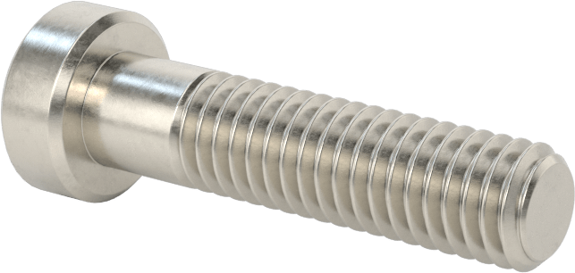 18-8 Paslanmaz Çelik Düşük Profilli Soket Başlı Vida, Pilot Girintili Altıgen, M6 x 1 mm Diş, 25 mm Uzunluk