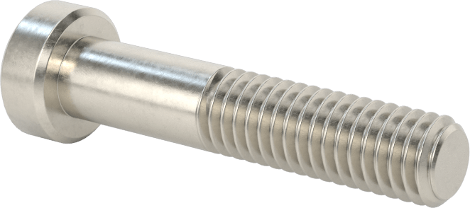 18-8 Paslanmaz Çelik Düşük Profilli Soket Başlı Vida, Pilot Girintili Altıgen, M6 x 1 mm Diş, 30 mm Uzunluk