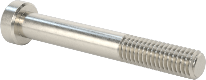 18-8 Paslanmaz Çelik Düşük Profilli Soket Başlı Vida, Pilot Girintili Altıgen, M6 x 1 mm Diş, 45 mm Uzunluk