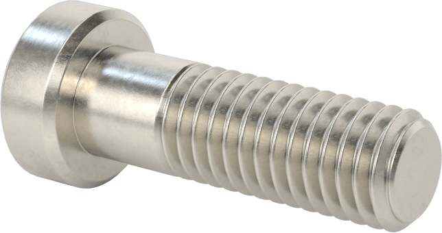 18-8 Paslanmaz Çelik Düşük Profilli Soket Başlı Vida, Pilot Girintili Altıgen, M8 x 1,25 mm Diş, 25 mm Uzunluk