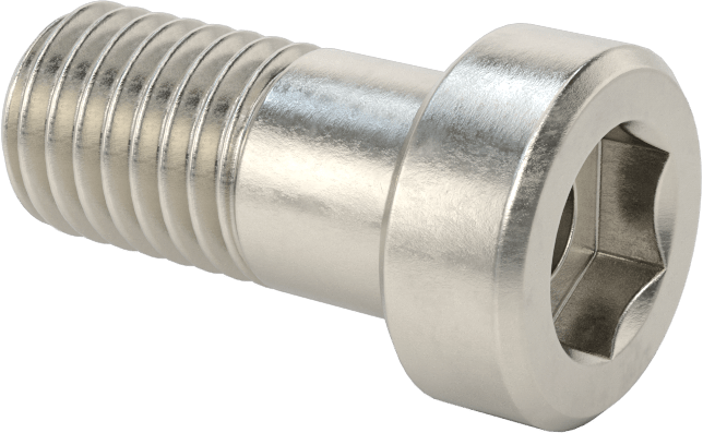 18-8 Paslanmaz Çelik Düşük Profilli Soket Başlı Vida, Pilot Girintili Altıgen, M12 x 1,75 mm Diş, 25 mm Uzunluk