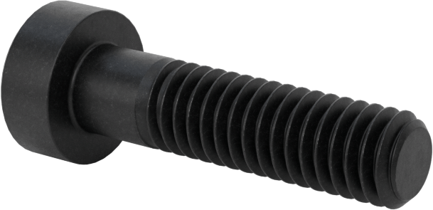 Alaşımlı Çelik Düşük Profilli Soket Başlı Vida, Girintili Altıgen, Siyah Oksit 8.8 Çelik, M4 x 0.7mm, 16 mm Uzunluk
