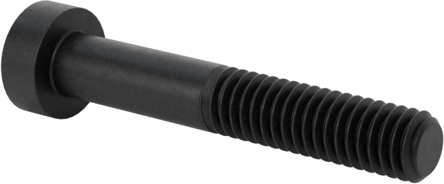 Alaşımlı Çelik Düşük Profilli Soket Başlı Vida, Girintili Altıgen, Siyah Oksit 8.8 Çelik, M4 x 0.7mm, 25 mm Uzunluk