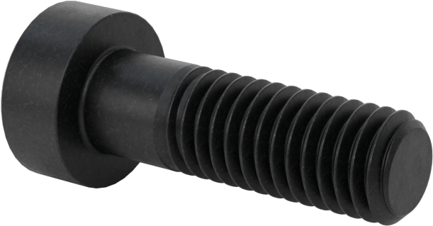 Alaşımlı Çelik Düşük Profilli Soket Başlı Vida, Girintili Altıgen, Siyah Oksit 8.8 Çelik, M5 x 0.8mm, 16 mm Uzunluk