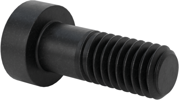 Alaşımlı Çelik Düşük Profilli Soket Başlı Vida, Girintili Altıgen, Siyah Oksit 8.8 Çelik, M6 x 1mm, 16 mm Uzunluk