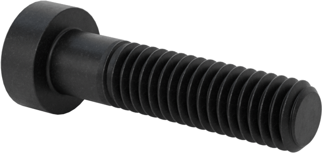 Alaşımlı Çelik Düşük Profilli Soket Başlı Vida, Girintili Altıgen, Siyah Oksit 8.8 Çelik, M6 x 1mm, 25 mm Uzunluk