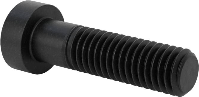Alaşımlı Çelik Düşük Profilli Soket Başlı Vida, Girintili Altıgen, Siyah 10.9 Çelik, M8 x 1.25mm, 30 mm Uzunluk