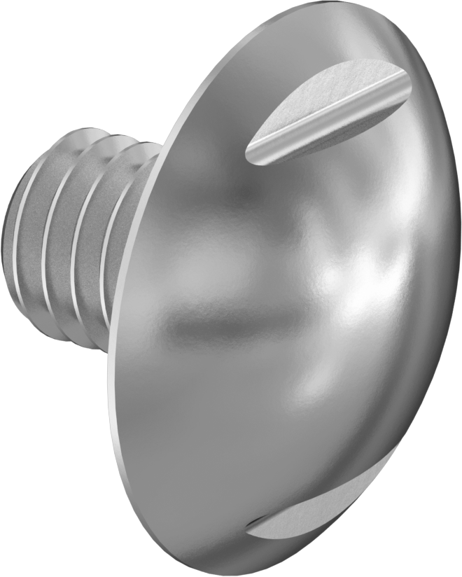 Sıhhi Ekstra Geniş Bombe Başlı Vida, M3 x 0,50 mm Dişli Boyutu, 4 mm Uzunluk