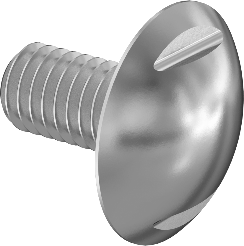 Sıhhi Ekstra Geniş Bombe Başlı Vida, M3 x 0,50 mm Dişli Boyutu, 6 mm Uzunluk