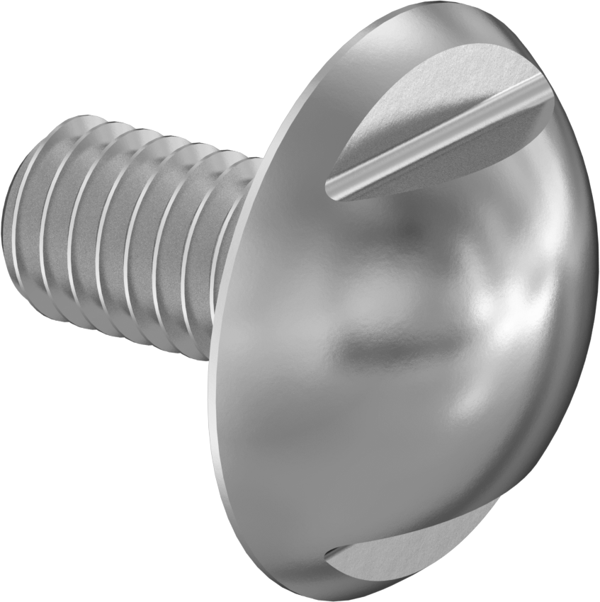 Sıhhi Ekstra Geniş Bombe Başlı Vida, M6 x 1,00 mm Diş Boyutu, 12 mm Uzunluk