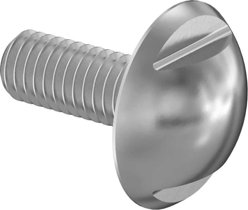 Sıhhi Ekstra Geniş Bombe Başlı Vida, M6 x 1,00 mm Diş Boyutu, 16 mm Uzunluk