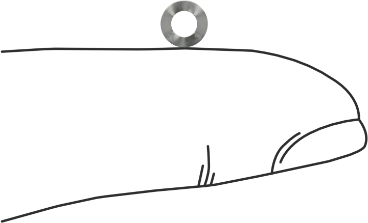 Dalgalı Disk Yay, Çelik, 0.11" ID, 0.196" OD, 0,012" Kalınlık