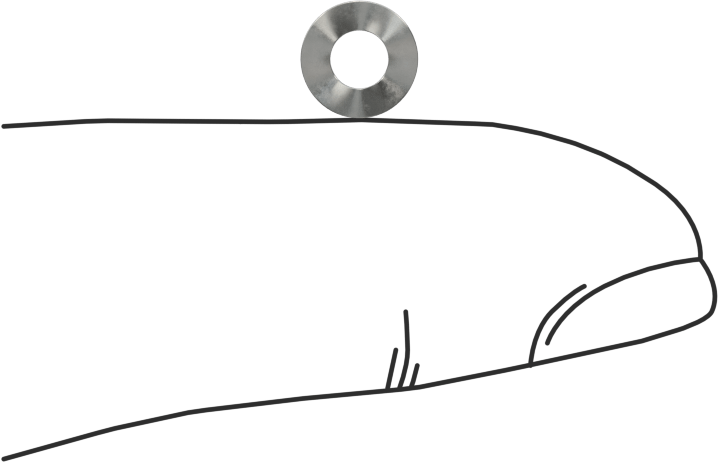 Dalgalı Disk Yay, Çelik, 0.125" ID, 0.25" OD, 0,032" Kalın