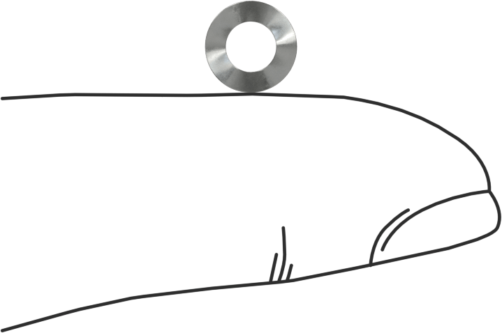 Dalgalı Disk Yay, Çelik, 0.155" ID, 0.281" OD, 0,006" Kalınlık