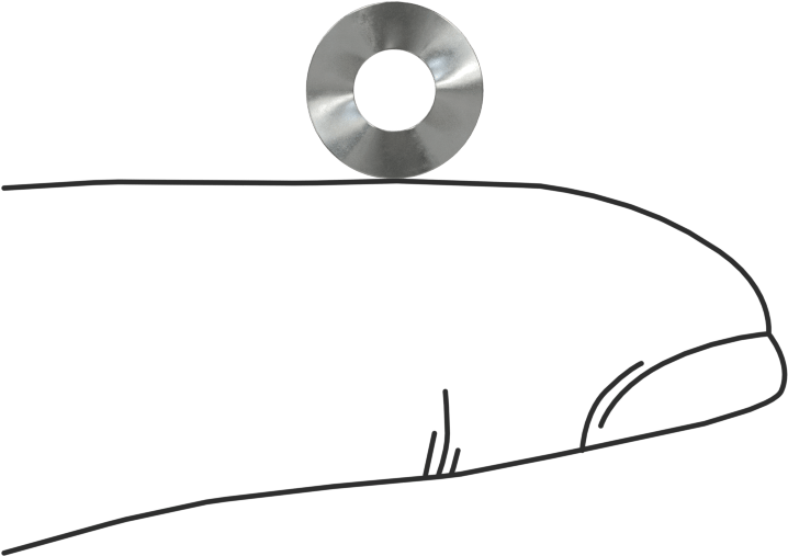 Dalgalı Disk Yay, Çelik, 0.16" ID, 0.345" OD, 0,012" Kalınlık