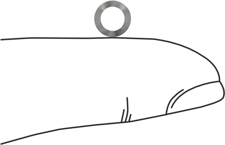 Dalgalı Disk Yay, Çelik, 0.165" ID, 0.25" OD, 0,005" Kalınlık