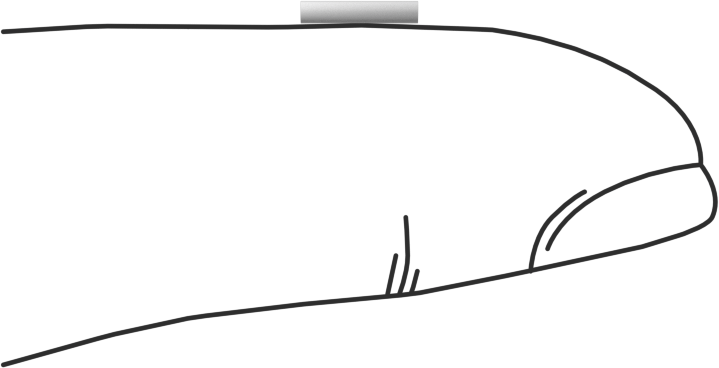 Asetal Dübeller, 3/64" Çap, 1/4" Uzunluk