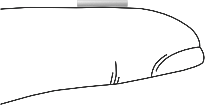 Asetal Dübeller, 3/64" Çap, 3/8" Uzunluk