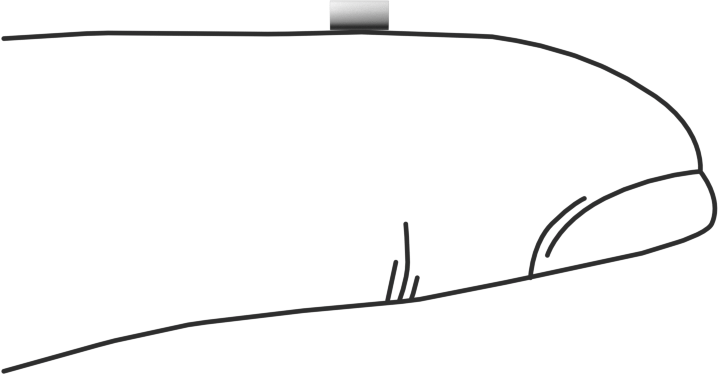 Asetal Dübeller, 1/16" Çap, 1/8" Uzunluk