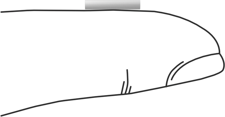 Asetal Dübeller, 1/16" Çap, 3/8" Uzunluk